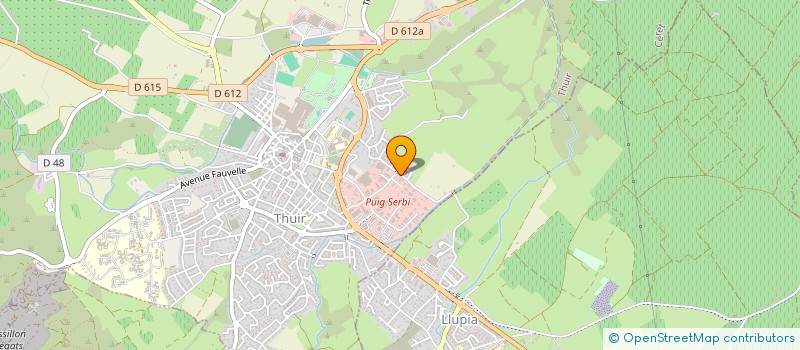 localisation de l'entreprise 805 146 537 à THUIR