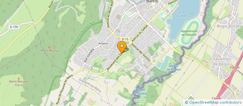 localisation de l'entreprise 805 158 227 à DIVONNE-LES-BAINS
