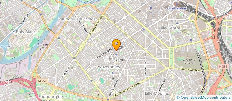 localisation de l'entreprise 807 477 740 à LILLE