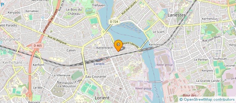 localisation de l'entreprise 807 688 890 à NANTES