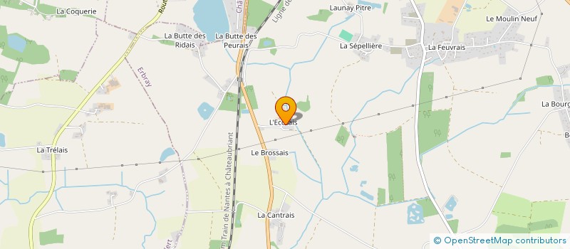 localisation de l'entreprise 807 705 686   ERBRAY