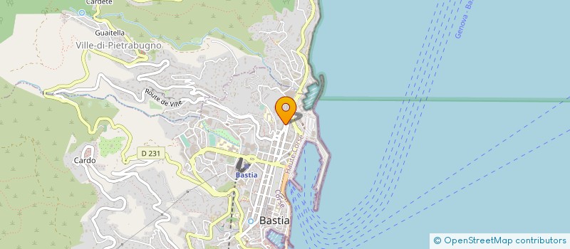 localisation de l'entreprise 807 833 207 à BASTIA