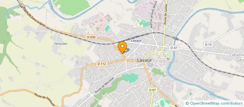 localisation de l'entreprise 808 069 553   LAVAUR