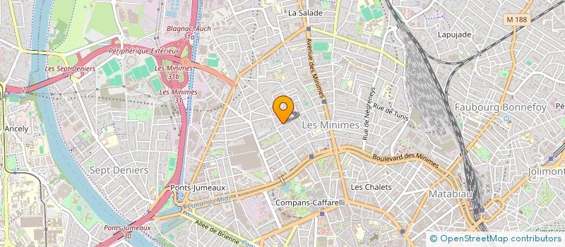 localisation de l'entreprise 808 190 391 à TOULOUSE