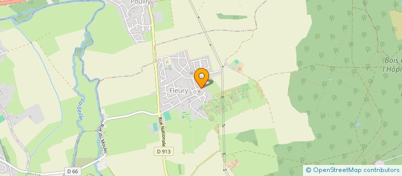 localisation de l'entreprise 808 295 869   FLEURY