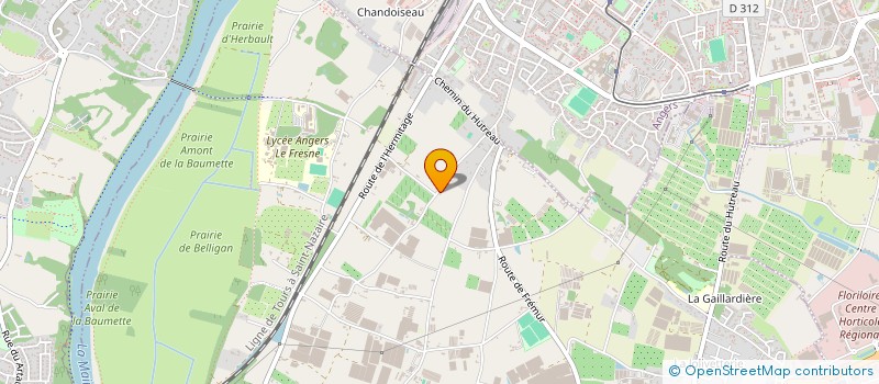 localisation de l'entreprise 809 020 696 à SAINTE-GEMMES-SUR-LOIRE
