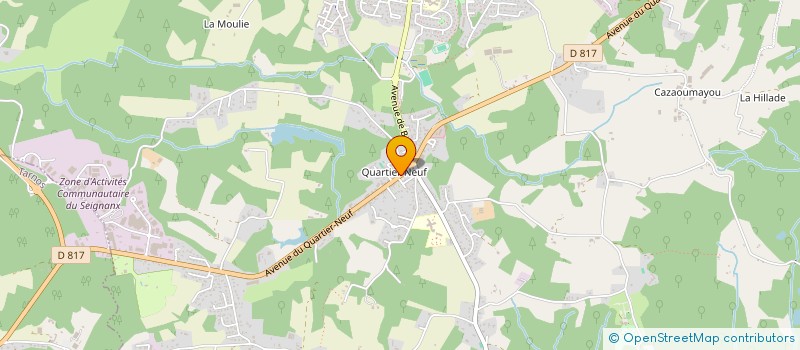 localisation de l'entreprise 809 118 656   SAINT-MARTIN-DE-SEIGNANX