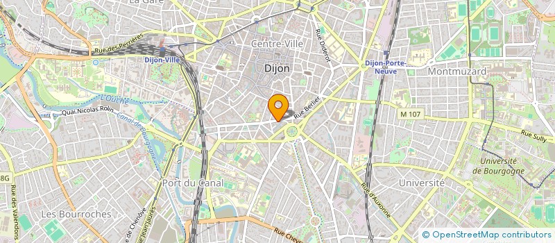localisation de l'entreprise 809 206 642 à DIJON