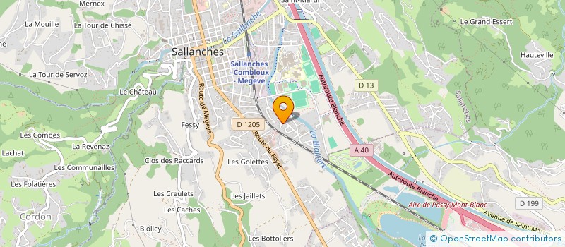 localisation de l'entreprise 809 564 263   SALLANCHES