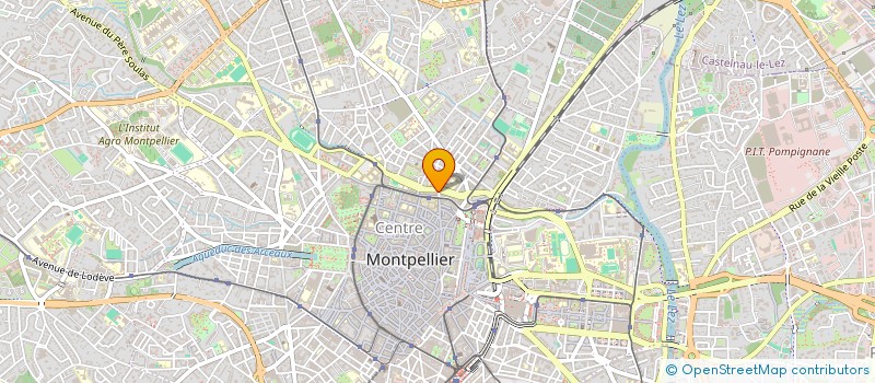 localisation de l'entreprise 809 601 701 à MONTPELLIER