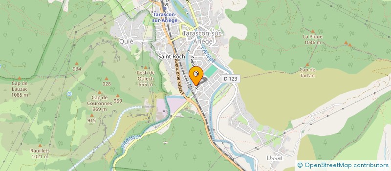 localisation de l'entreprise 809 820 723 à SAINT-JEAN-DU-FALGA