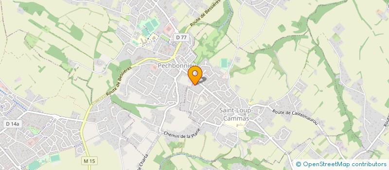 localisation de l'entreprise 809 867 419 à TOULOUSE