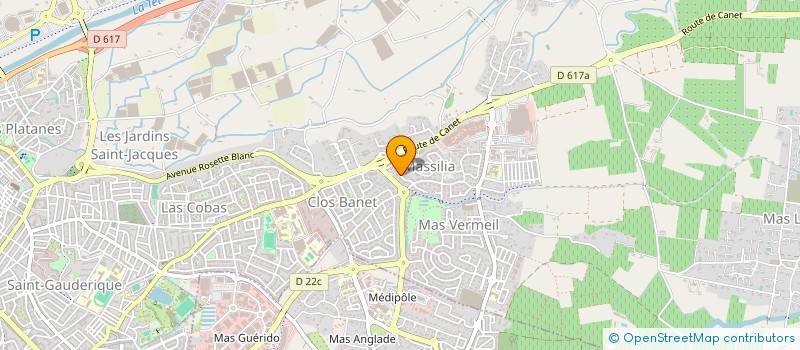 localisation de l'entreprise 809 994 767   ILLE-SUR-TET