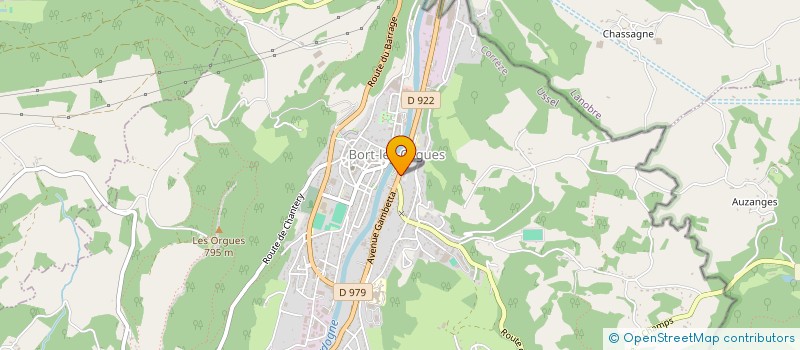 localisation de l'entreprise 810 475 699   BORT-LES-ORGUES