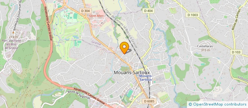 localisation de l'entreprise 810 721 019 à MOUANS-SARTOUX