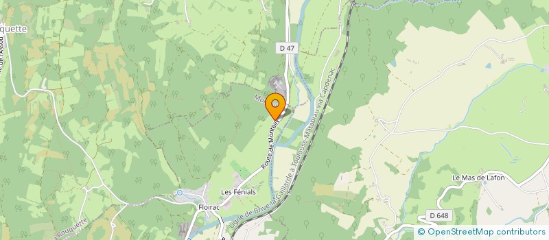 localisation de l'entreprise 810 859 942   LE BAS SEGALA