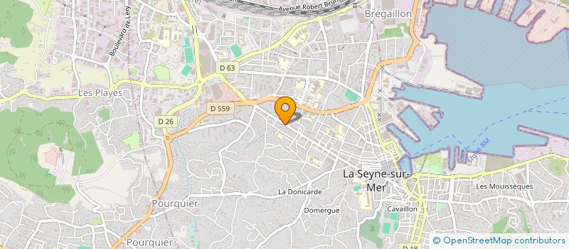 localisation de l'entreprise 810 959 395 à LA SEYNE-SUR-MER