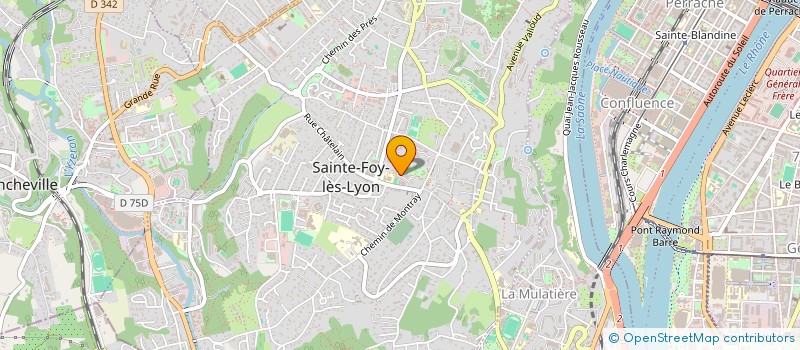 localisation de l'entreprise 811 208 479   SAINTE-FOY-LES-LYON