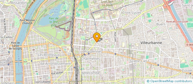localisation de l'entreprise 811 430 784 à VILLEURBANNE