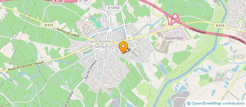 localisation de l'entreprise 811 487 131   SAINT-ANDRE-DE-SANGONIS