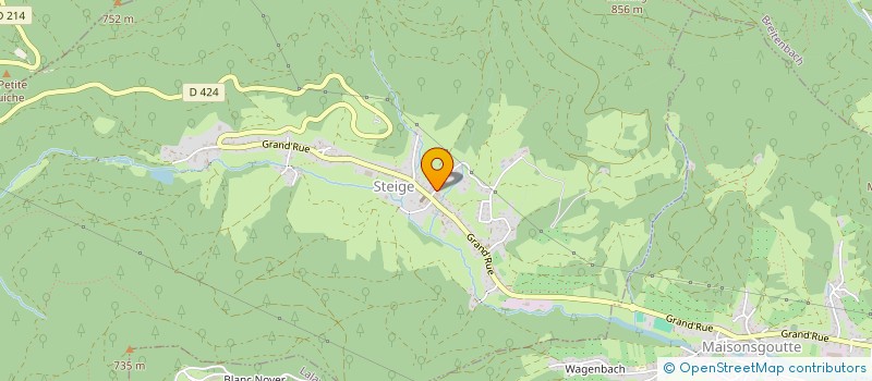 localisation de l'entreprise 811 930 353   STEIGE