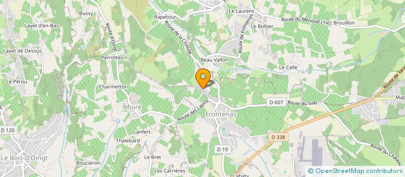 localisation de l'entreprise 812 503 597   THEIZE