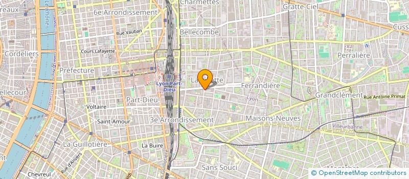 localisation de l'entreprise 813 063 393   LYON