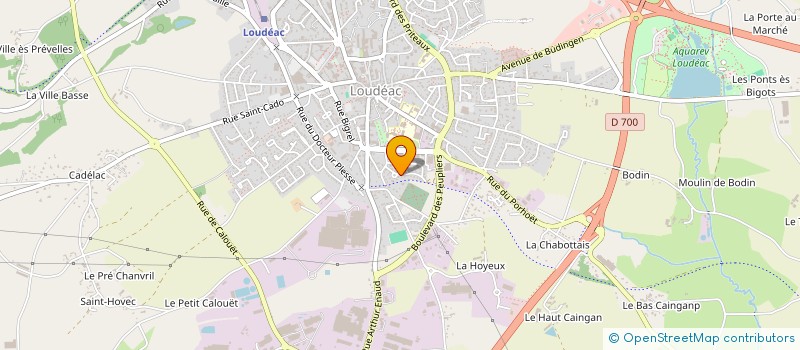localisation de l'entreprise 813 097 334  à LOUDEAC