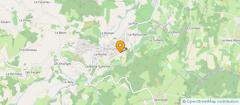 localisation de l'entreprise 813 185 741   BRIGNAIS