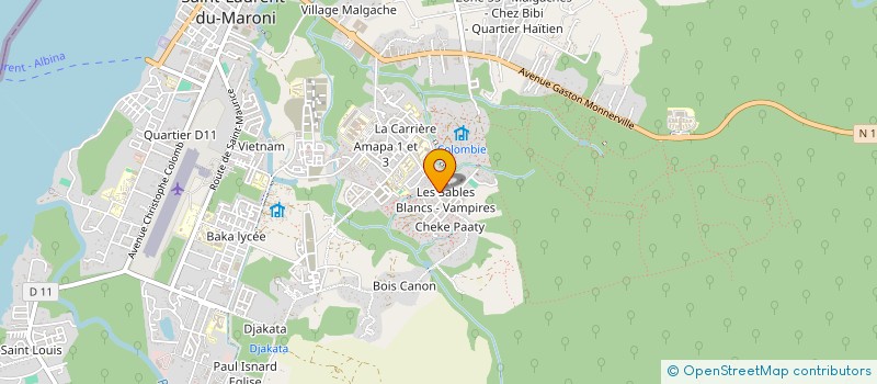 localisation de l'entreprise 813 331 832 à SAINT-LAURENT-DU-MARONI