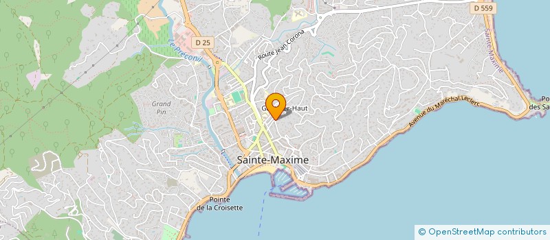 localisation de l'entreprise 813 432 390   GRIMAUD