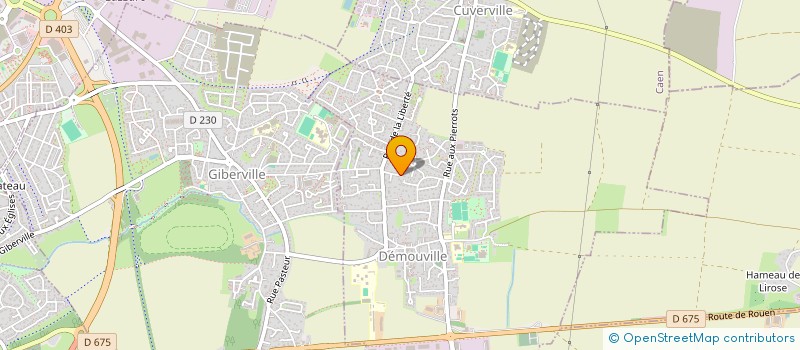 localisation de l'entreprise 813 531 480 à DEMOUVILLE