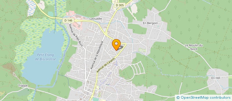 localisation de l'entreprise 813 869 914   BISCARROSSE