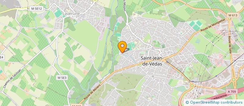 localisation de l'entreprise 813 946 563 à SAINT-JEAN-DE-VEDAS