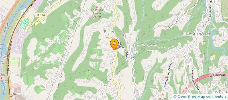 localisation de l'entreprise 814 403 044   NICE