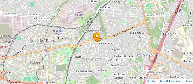localisation de l'entreprise 814 581 609 à TOURS