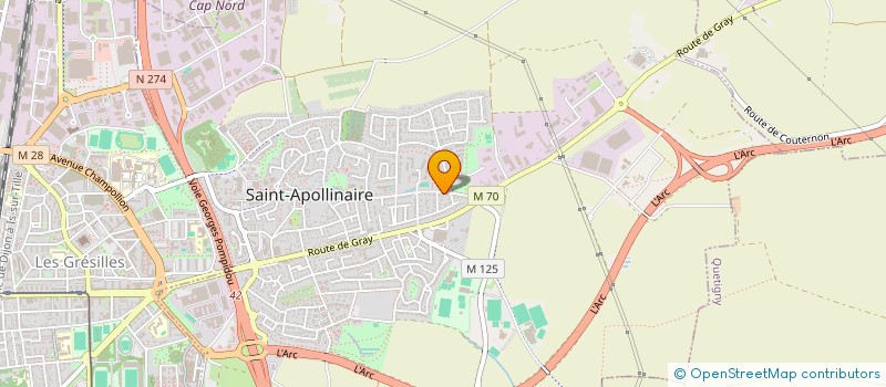 localisation de l'entreprise 814 697 959  à DIJON