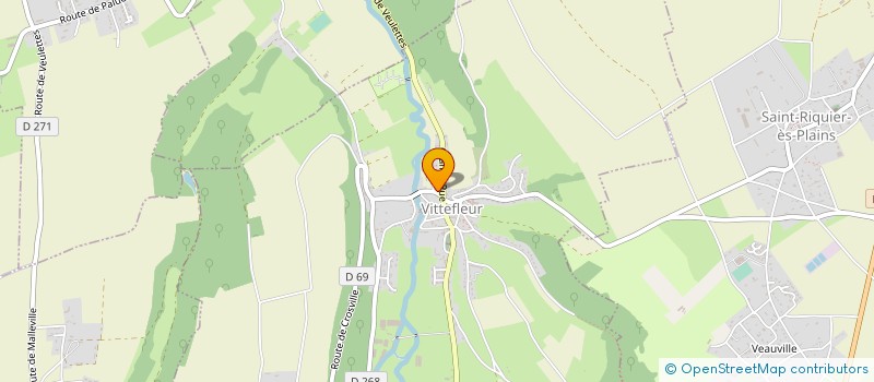 localisation de l'entreprise 815 102 702   VITTEFLEUR