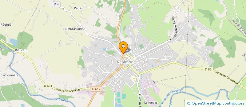 localisation de l'entreprise 815 338 447   MARSSAC-SUR-TARN