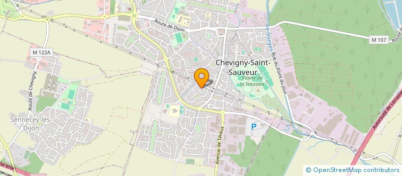 localisation de l'entreprise 815 371 729   CHEVIGNY-SAINT-SAUVEUR