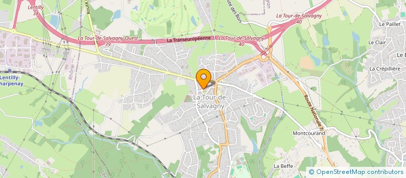 localisation de l'entreprise 817 556 491   LA TOUR-DE-SALVAGNY