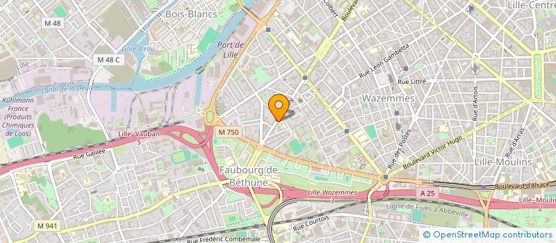 localisation de l'entreprise 817 685 902 à LILLE