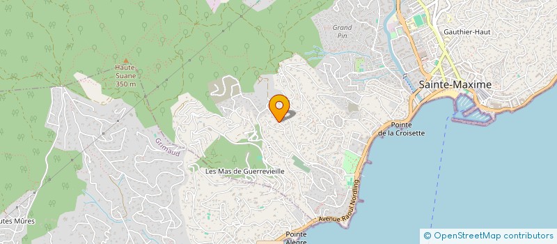 localisation de l'entreprise 817 836 562 à NICE