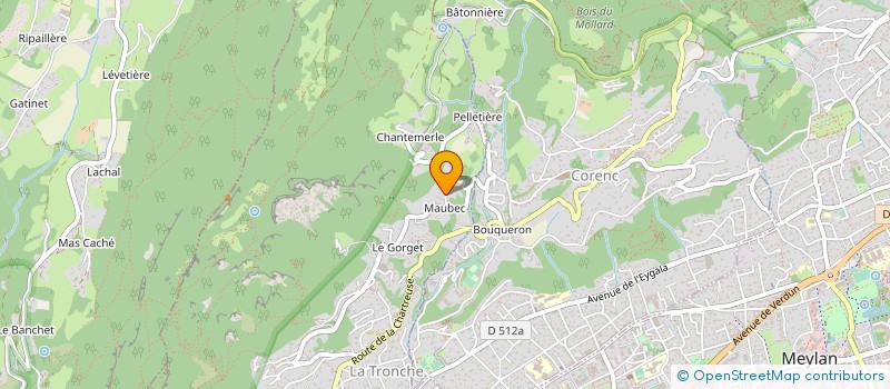 localisation de l'entreprise 818 294 951  à GRENOBLE