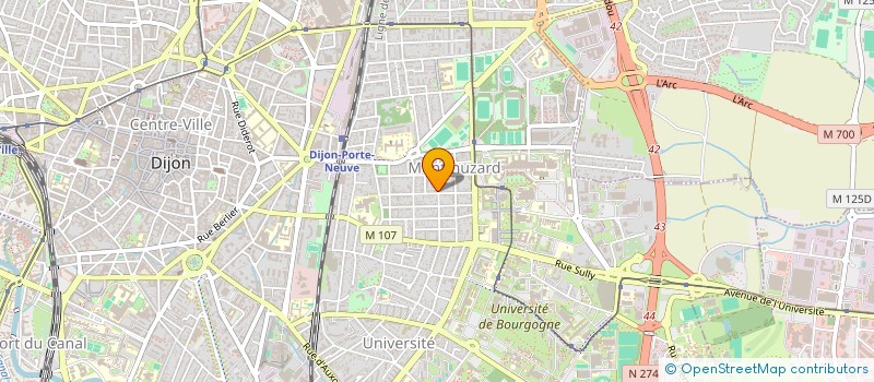 localisation de l'entreprise 818 589 541   DIJON