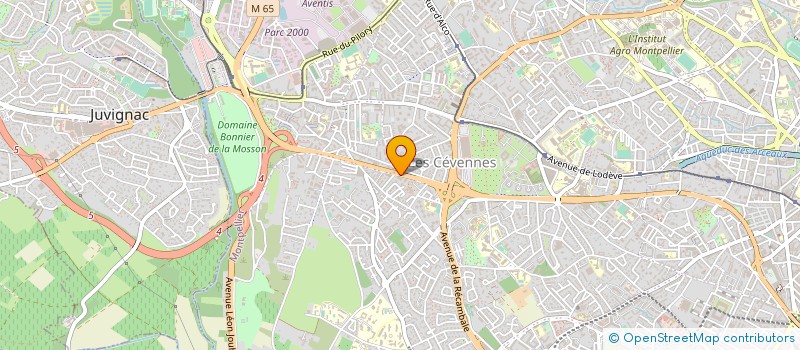 localisation de l'entreprise 818 660 888 à MONTPELLIER