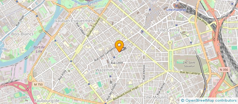 localisation de l'entreprise 818 689 838 à LILLE