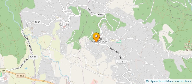 localisation de l'entreprise 818 711 764 à MONTAUROUX