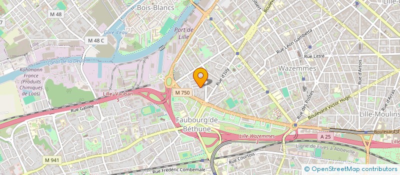 localisation de l'entreprise 819 652 850   SAINGHIN-EN-WEPPES