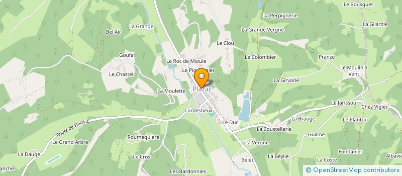 localisation de l'entreprise 819 874 363   PLAZAC